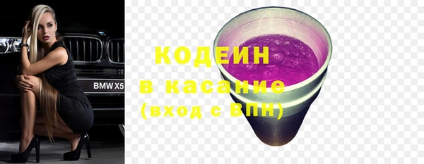 мдпв Верхний Тагил