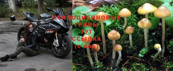 винт Володарск