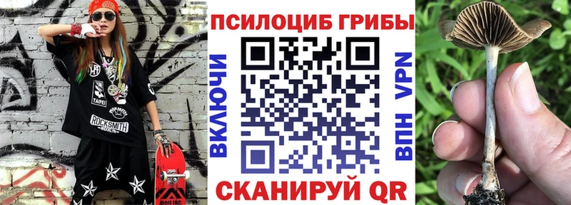 Галлюциногенные грибы Psilocybine cubensis  hydra как зайти  Химки 